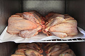 Organic poultry in a refrigerator ready for sale, Provence, France