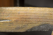 Kahau Rongo-rongo (reproduction), Signs engraved on wooden tablet, Anthropological Museum of Hanga Roa, Easter Island, Chile