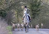 Cavalier et meute de chiens de chasse, Chasse au renard dans la campagne, Angleterre