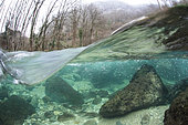 Paysage subaquatique, en photo mi-air mi-eau, dans les eaux limpides de la rivière "Guiers vif", Savoie, France