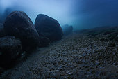 Paysage subaquatique, en pose lente, dans les eaux limpides de la rivière "Guiers mort", Gorges du Guiers mort, Isère, France