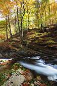 Paysage d'automne dans les Gorges du Guiers mort, Isère, France