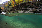 Paysage subaquatique, mi-air mi-eau, de la rivière "Guiers mort" en automne, Gorges du Guiers mort, Isère, France
