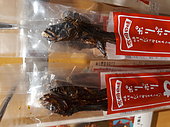 Warasebo (Odontamblyopus lacepedii), Kyushu Island, Japan, dried fish marketed, to be eaten, in a local shop in Japan. This long-lived fish lives in the mud. His head, and especially his strong teeth, earned him the nickname "alien" in reference to the creature of the science fiction film.