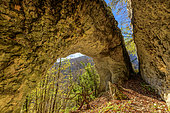 Ark of the écorche boeuf, double arch, dug in the limestone near the Richemont Pass, in the south of Jura, Ain, France