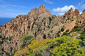 Calanques de Piana : Formation géologique de roches plutoniques sculptées par les vents marins : (porphyre rose), Secteur de Porto, Corse, France