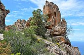 Calanques de Piana : Formation géologique de porphyre rose sculpté par le vent, Corse, France