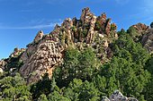 Capu d'Orto: cliffs emerging among pines Laricio, Porto Region, Corsica, France