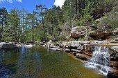 Cascade of the Aitone river in the middle of the Laricio pine forest, Evisa region, Corsica, France