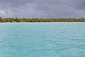 Motu (islet) where is located Maupiti airport and coconut grove seen from the lagoon, Leeward Islands, French Polynesia