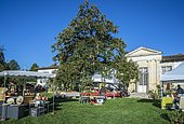Plantes Fair 2017 at Gaujacq Castle, Landes, France.