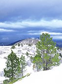 Snowy landscape, ski and winter sports resorts in mountain areas, La Pierre Saint Martin ski resort, municipality of Arette (64), Pyrenees, France