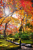 okochi'sanso path, Japan
