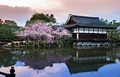 Sunset under heian jingu temple in kyôto, Japan