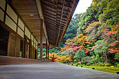 Garden of the Nanzenin temple in autumn in Kyôto, Japan