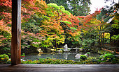 Rengeji temple garden in autumn in Kyôto, Japan
