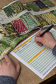 Order vegetable seeds in a catalog