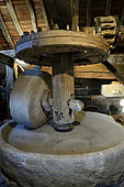 The mill, departmental museum of the Mountain, hamlet of Chateau Lambert, Haut du Them, Haute Saone, France