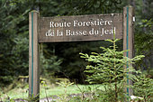 Route Forestière du Jeal, panel in forest, Les Rouges-Eaux, Vosges, France