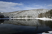 Lac de la Lauch, view on Marksteinkopf, the ski resort, winter, snow, Hautes Vosges, Haut Rhin, France