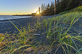 Crépuscule sur le Pacifique, Pacific Rim, Sud de Tofino, Vancouver Island, British Columbia, Canada