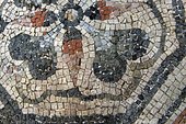 Underwater ancient mosaics. Campi Flegrei, west of the Gulf of Naples. Italy. Monuments of the Greek-Roman age (buildings that belonged to the Roman aristocracy. They now constitute the Underwater Park of Bahia.