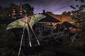 Moon moth with temple in the background, Gunung Lebah Temple, Ubud, Bali, Indonesia