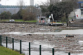 Waste transported by the flood of Seine on 03/02/2018 in Méricourt, Ile-de-France, France
