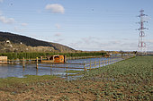 Flooded field due to the flood of the Seine on 03/02/2018 in Cléon, Normandy, France