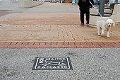 Ground signage encouraging dog owners to pick up the droppings of their animals, Mers-Les-Bains, Picardie, France