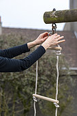 Woman hanging a rope ladder on a portico, in a garden, spring, Pas de Calais, France