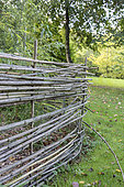 Bamboo palisade in a garden, autumn, Somme, France
