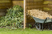Straw in a wheelbarrow and plant debris from garden maintenance, Garden shed