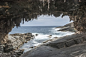 Admirals arch, Kangaroo island, South Australia