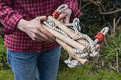 Woman installing a rope ladder on a portico, spring, Pas de Calais, France