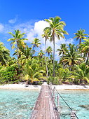 Coconut trees, pontoon and deserted beach near Tetamanu in the south of Fakarava Atoll, Tuamotu Archipelago, French Polynesia