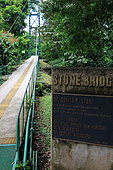 Stone bridge, La Selva Biological Station, Costa Rica