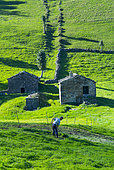 Cutting the grass, Cabaña pasiega and meadows, Miera Valley, Valles Pasiegos, Cantabria, Spain, Europe