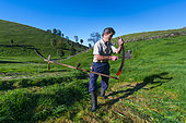 Cutting the grass, Cabaña pasiega and meadows, Miera Valley, Valles Pasiegos, Cantabria, Spain, Europe