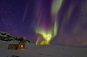 Northern Lights on Cape Swainson, North East Coast Greenland