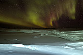 Northern lights on the Scoresbysund. East coast of Greenland