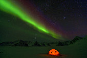 Aurora borealis on a bivouac on the Kolding Fjord. North East coast of Greenland