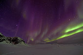 Northern Lights Violet on Cape Swainson, North East Coast Greenland