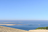General view of Banc d'Arguin from the Pilat dune, located on the edge of the forest of the Landes de Gascogne on the Silver Coast at the entrance to the Arcachon basin. The "passes" and bottom-bottoms (letters) of the basin are in perpetual evolution, Pyla-sur-Mer, Aquitaine, France