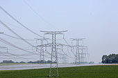 Field of flax grown in bloom (Linum usitatissimum) in the middle of electric pylons, Seine-Maritime, Normandy, France