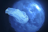 Concept image allusive to a blue planet invaded by plastic garbage. Plastic bag photographed with a fisheye lens against the surface. Azores