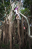 Child climbing the roots of a banyan tree (Ficus sp). New Caledonia.