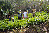 Family Kanak farmers in a food field, Gohapin tribe, New Caledonia.