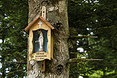 Chapelotte the Virgin of Sondaine, forest, Celles-sur-Plaine, Vosges, France