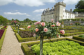 The vegetable garden. Chateau de Villandry, France